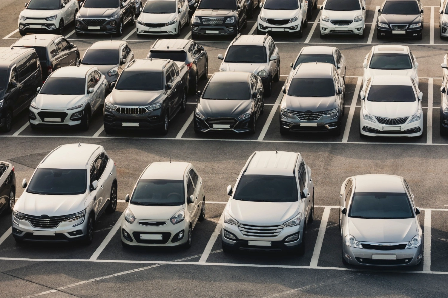 Le 10 migliori auto a noleggio lungo termine del 2025